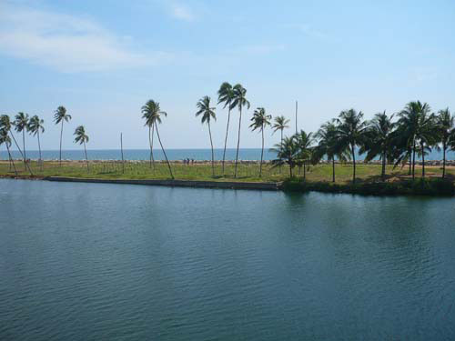 AshtamudiLake (1)